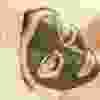 img31 img